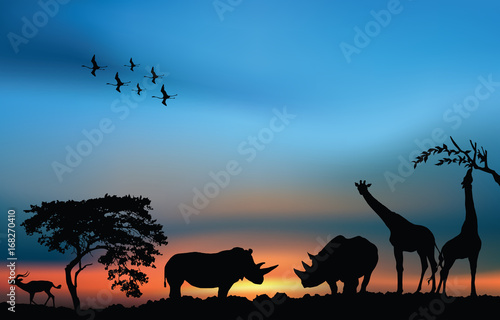 African sunrise with rhinos, giraffes and antelope