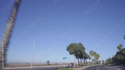 Driving Down A Tree Lined Street In California - Looking Up