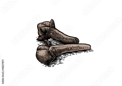 Isolated two cloves