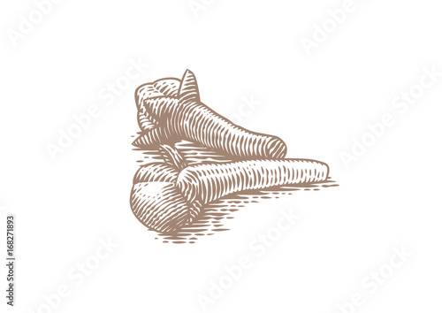 Isolated two cloves