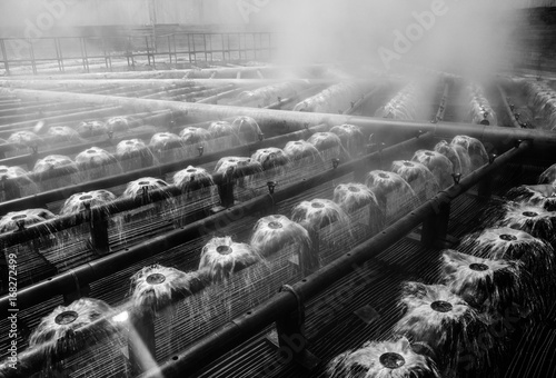 Water cooling tower spray heads