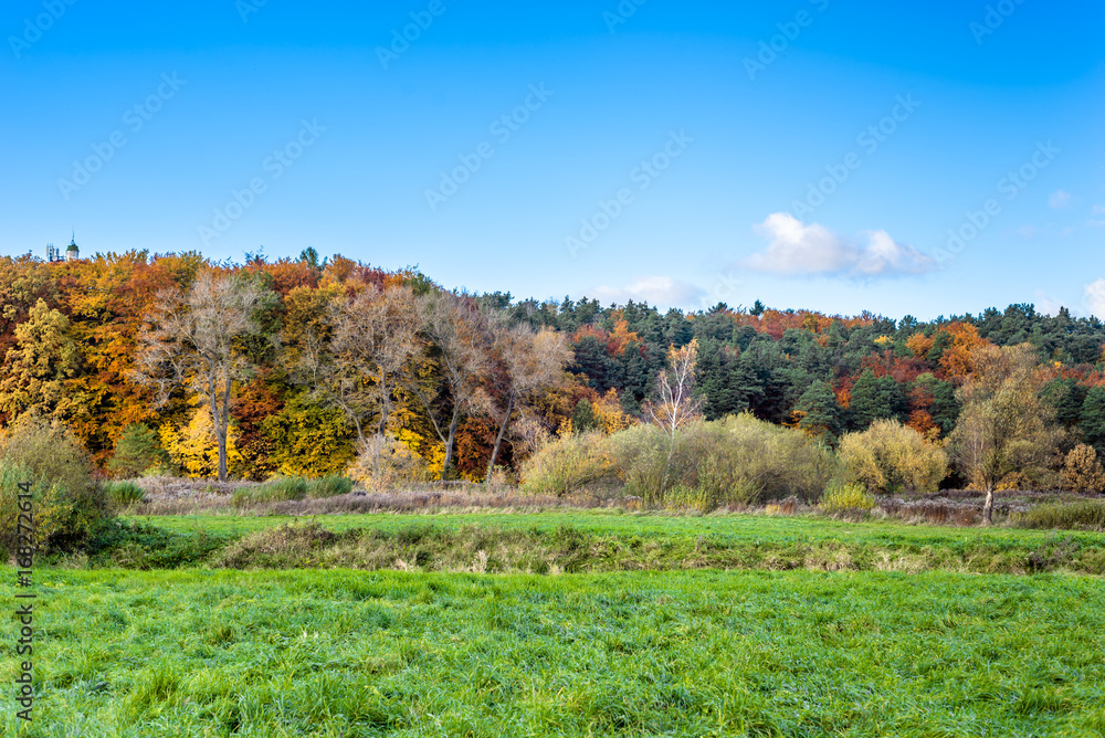 Panoramic vista of forest in autumn, scenic landscape with green field and blue sky