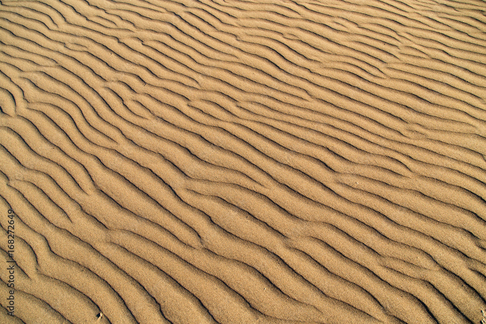 Sand in the desert as a background Sand in the desert as a background