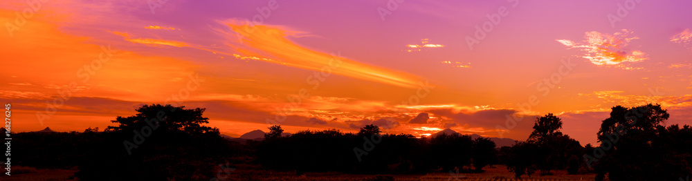 panorama dramatic sunset in sky beautiful colorful which has sun light orange landscape silhouette tree woodland twilight time with copy space add text
