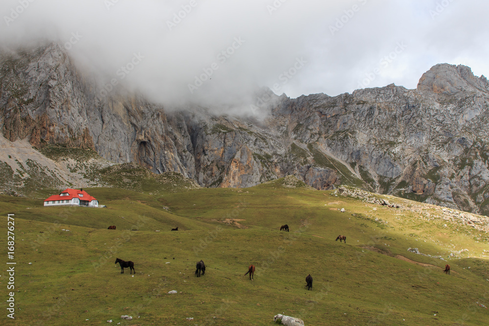 Red house in the Picos de Europa surrounded by green valley, fog, mountains and horses