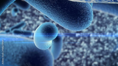 3d rendering of a germ bacteria under microscope