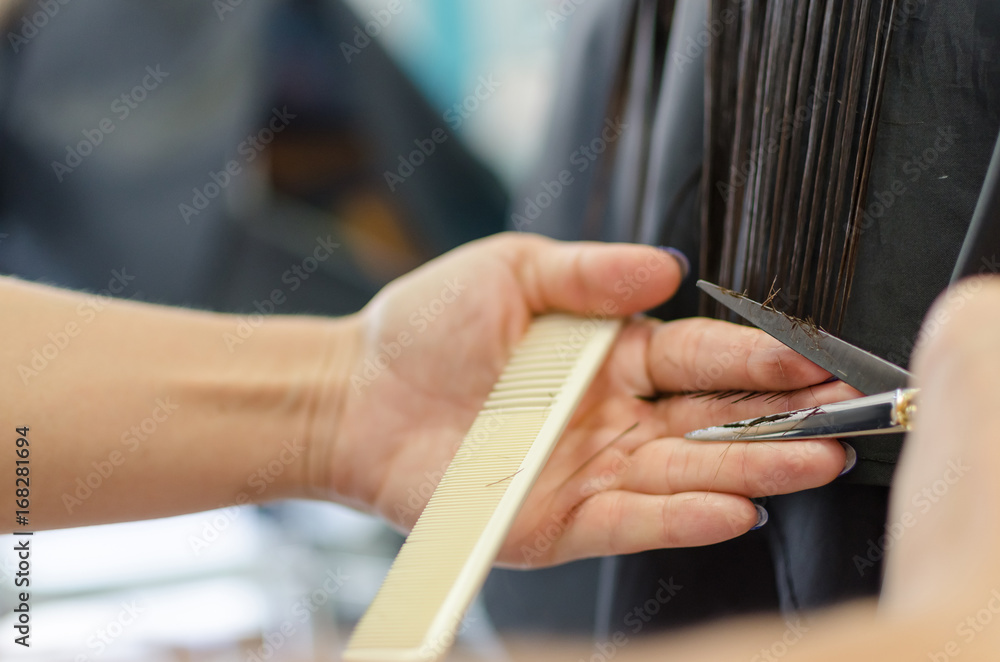 Cutting Damaged Hair Stock Foto Adobe Stock