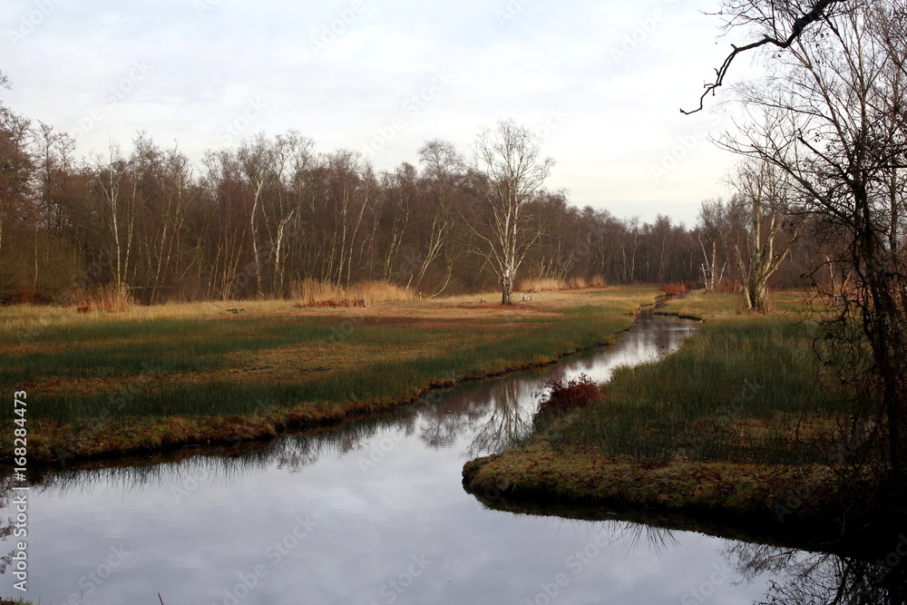 Amsterdamse polder	