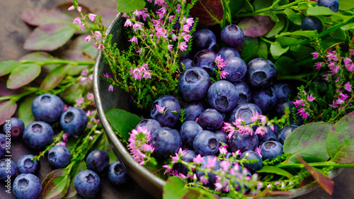 Blueberry antioxidant organic superfood in a bowl photo