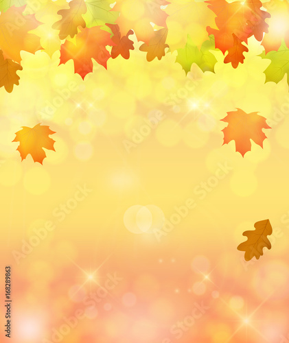 Vector autumn background with leaves. Autumn illustration