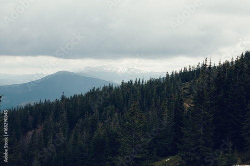 Fototapeta Naklejka Na Ścianę i Meble -  landscape in mountains Carpathians Ukraine
