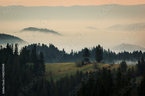 Foggy morning in Tatra mountains, Zakopane, Poland