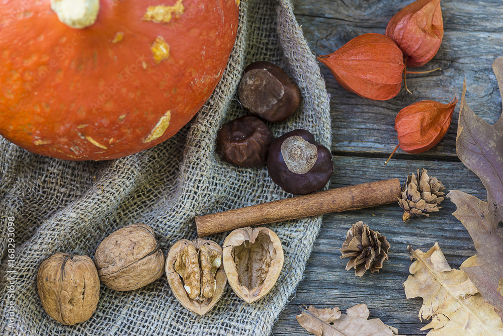 autumn composition with pumpkins,chestnuts,nuts on rustic background autumn composition with pumpkins,chestnuts,nuts on rustic background