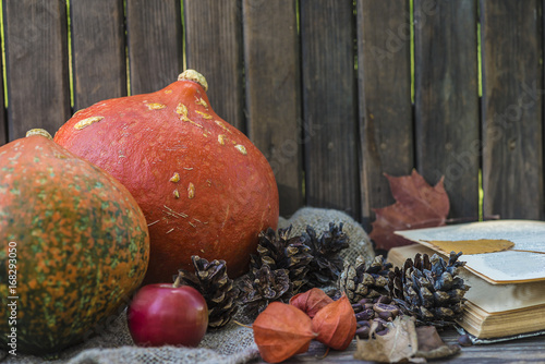 autumne compositon with pumpkins, kernels, dry leaves and opened book photo