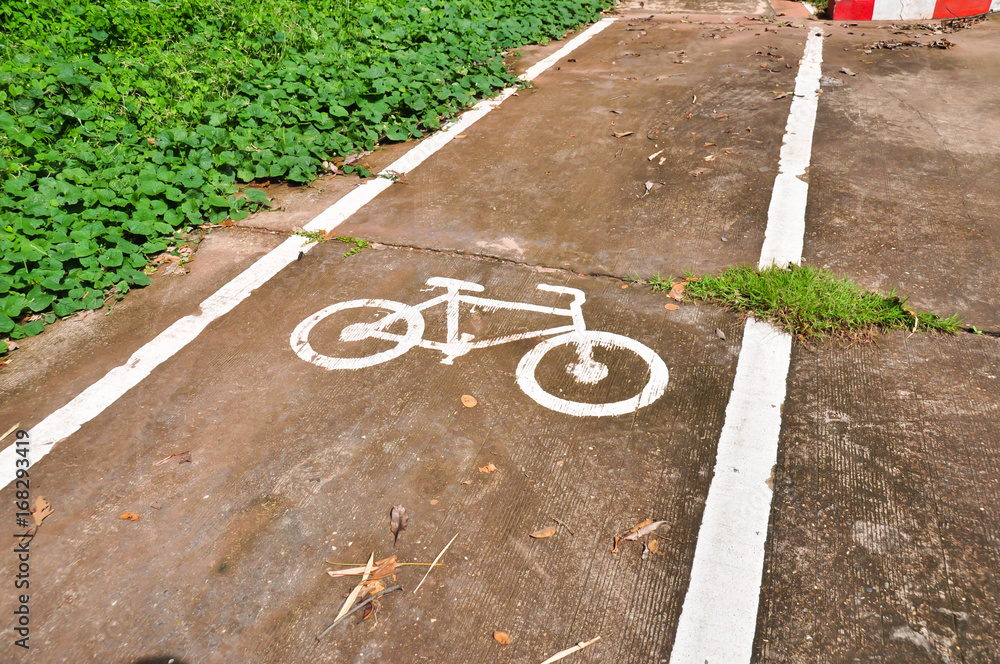 Fototapeta premium bike lane