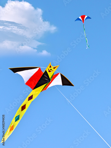 kites in the sky