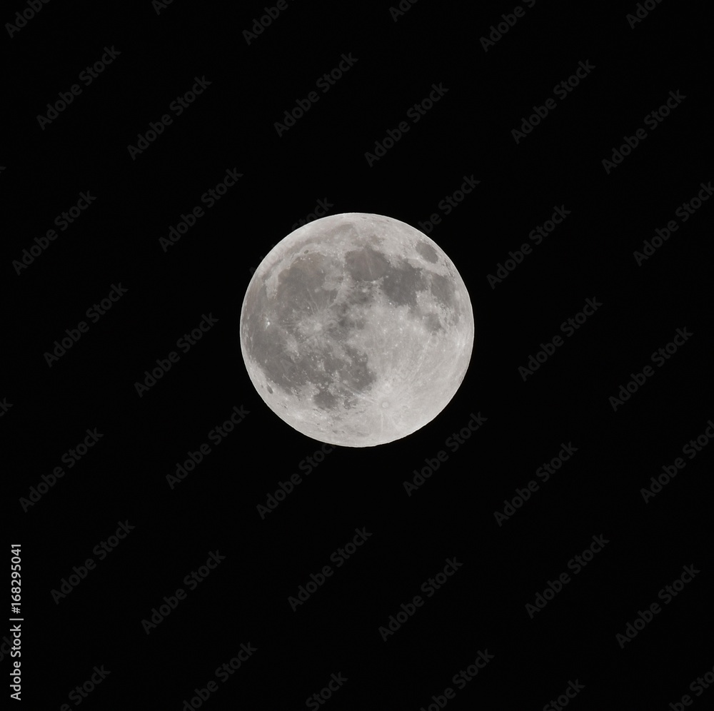 Obraz premium full moon in darkness for background