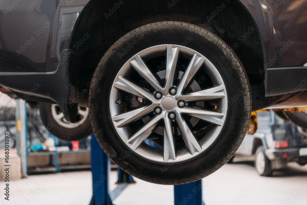 Wheel Wheel
