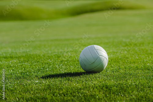 Close-up view of white leather ball on green lawn