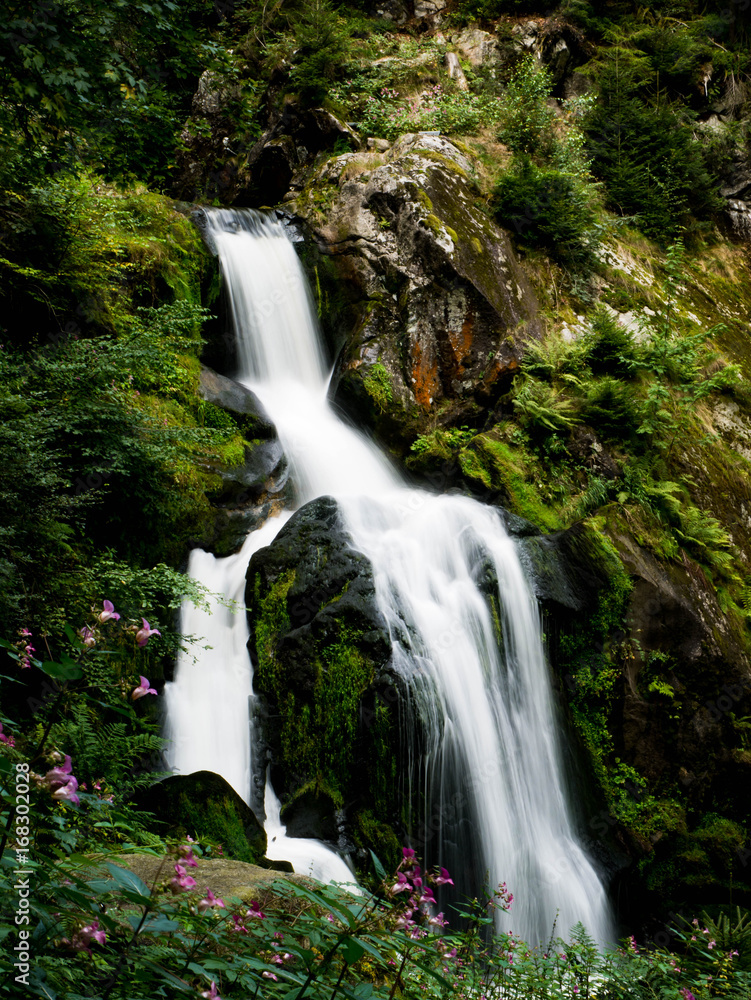 Naklejka premium Fließender Wasserfall