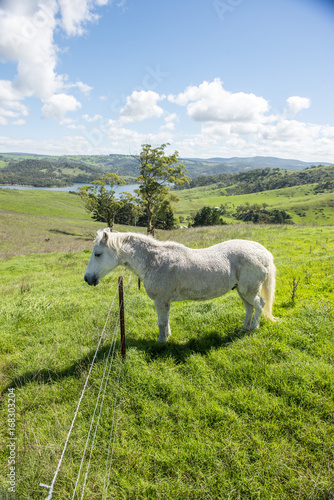 View from Lithgow contryside town in NSW Australia
