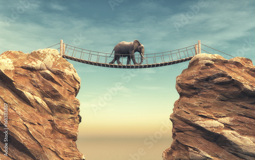Canvas Print An elephant goes on a wooden bridge
