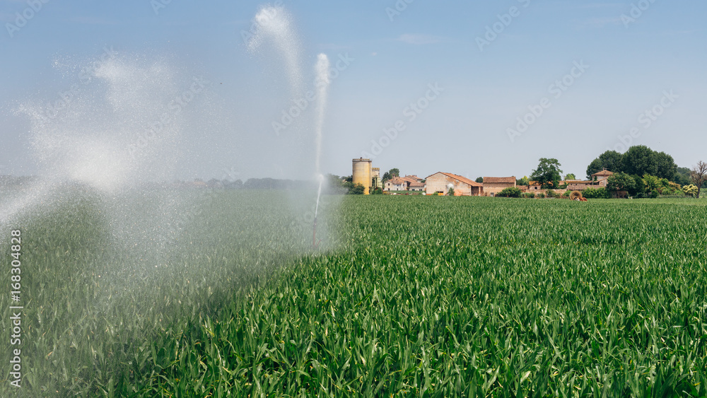 Irrigation system pumping water on a wheat field, Italy Irrigation system pumping water on a wheat field, Italy