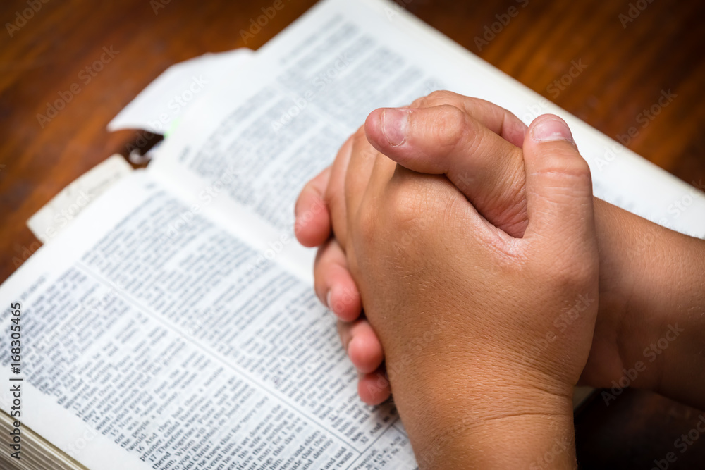Obraz premium Prayer Hands