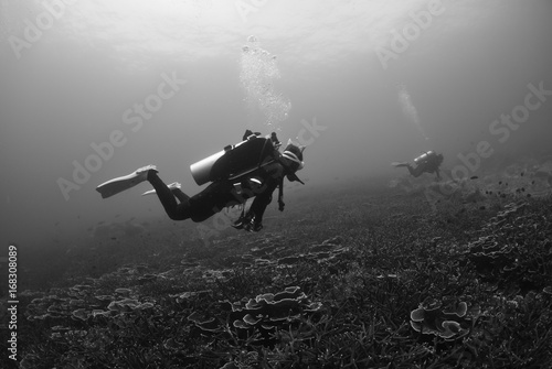 Scuba divers explore a coral reef,Black and white photo