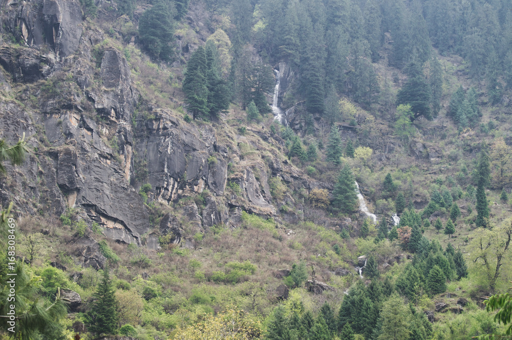 Fototapeta premium Mountain waterfall surrounded by pine trees