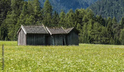 Three Cabins in Meadow Stanzach