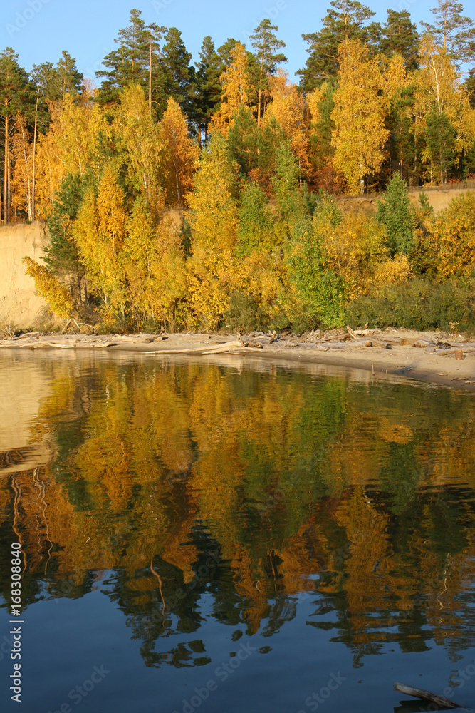 Panoramic landscape with river and autumn forest on the high Bank.