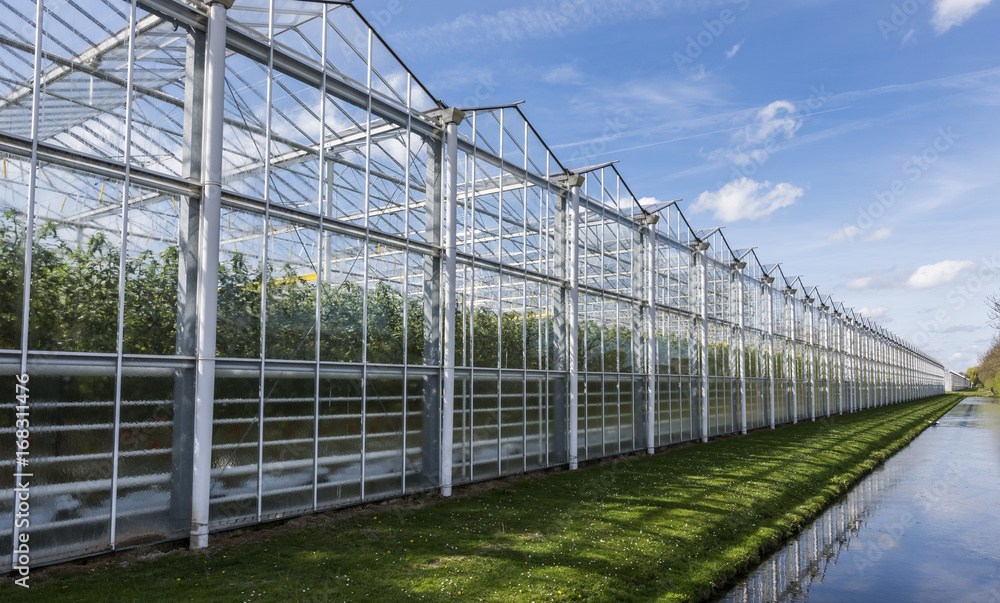 Tomato Greenhouse Harmelen with Ditch