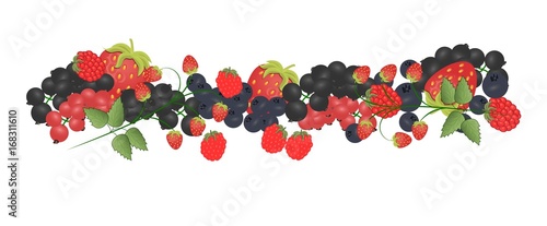 A variety of forest berries