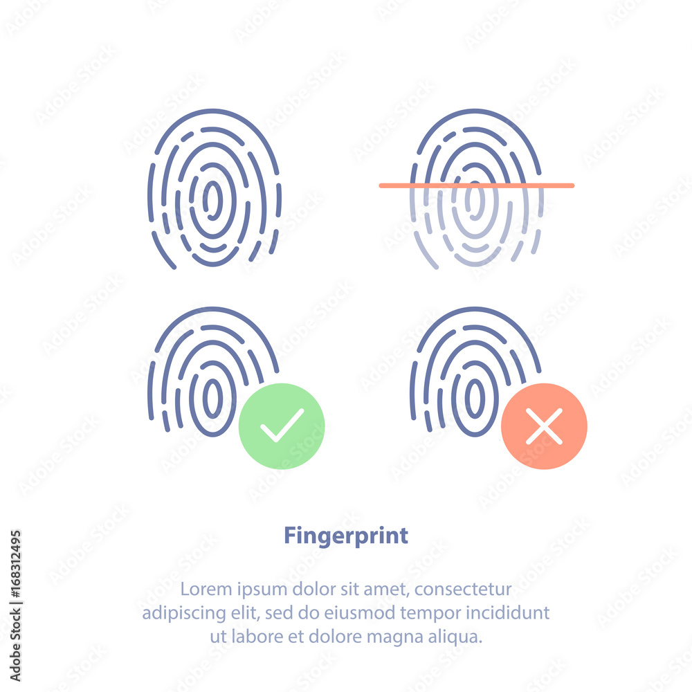 Fingerprints, Identification technology, ID app icon. Four fingerprint types detailed. Fingerprints, Identification technology, ID app icon. Four fingerprint types detailed.