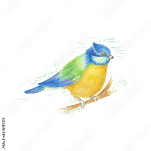 Vector color image of a bird, bird design icon