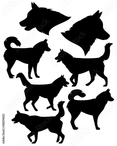 siberian husky silhouette collection - black vector dog set against white photo