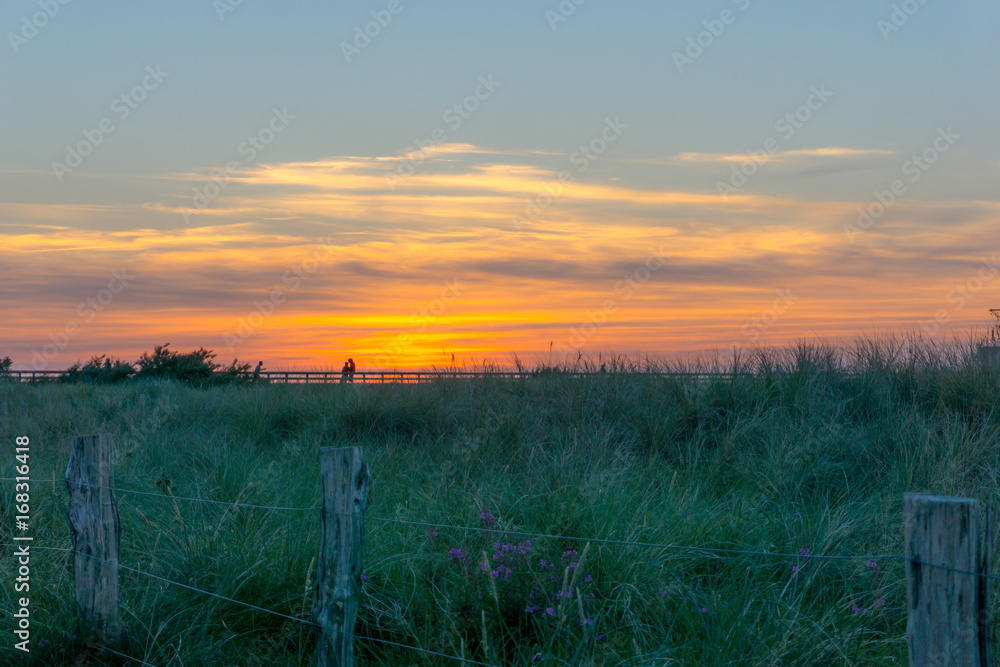 sunset behind the dunes, baltic sea
