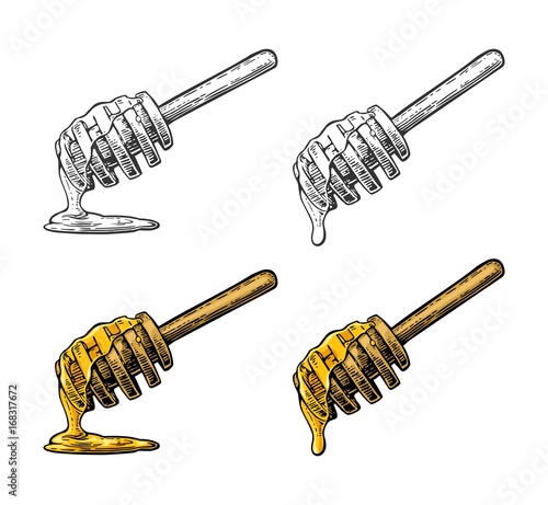 Honey dripping from wooden stick. Vintage engraved illustration
