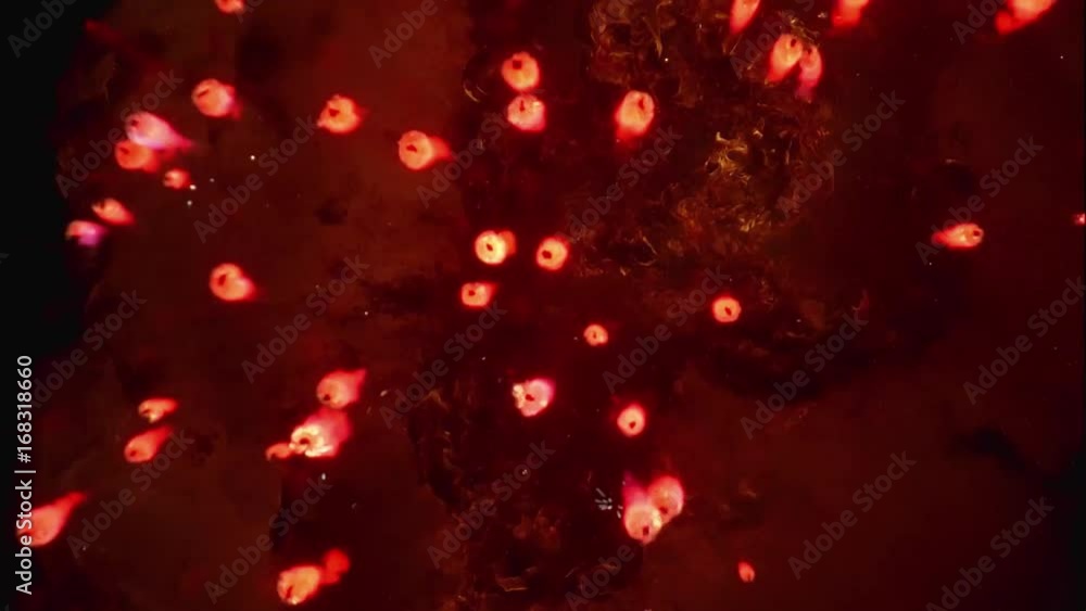 Explosion wiht shooters Explosion wiht shooters
