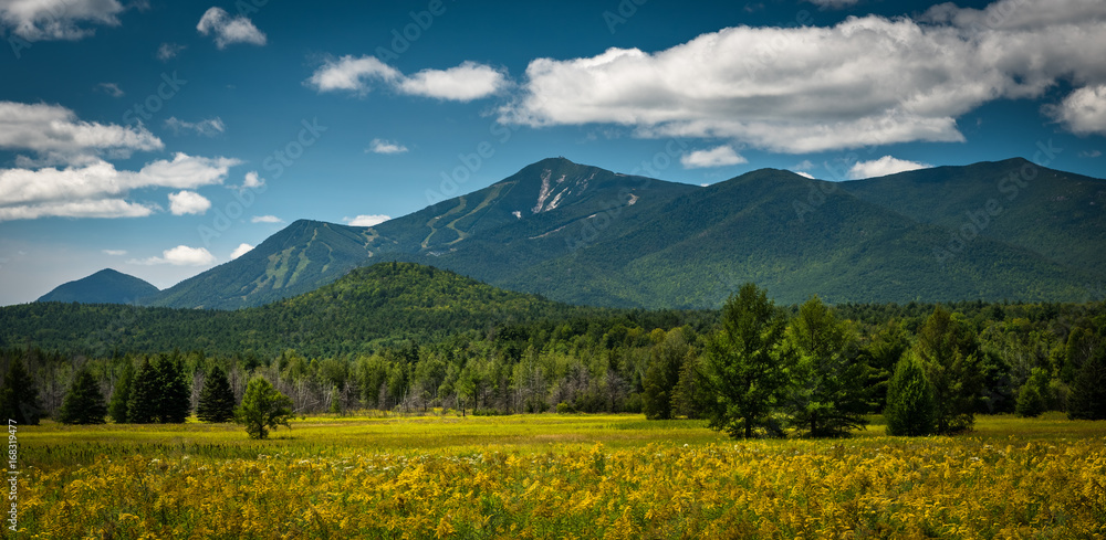 Whiteface Mountain on a sunny summer afternoon looking west from Wilmington, New York. The carve-outs for the ski trails can be seen from this direction.