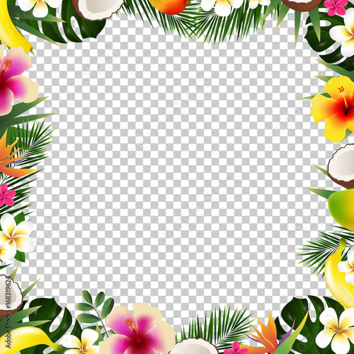 Tropical Frame Isolated