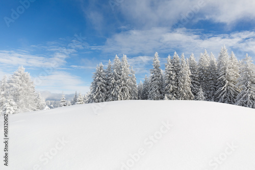 Winterwonderland in den Alpen