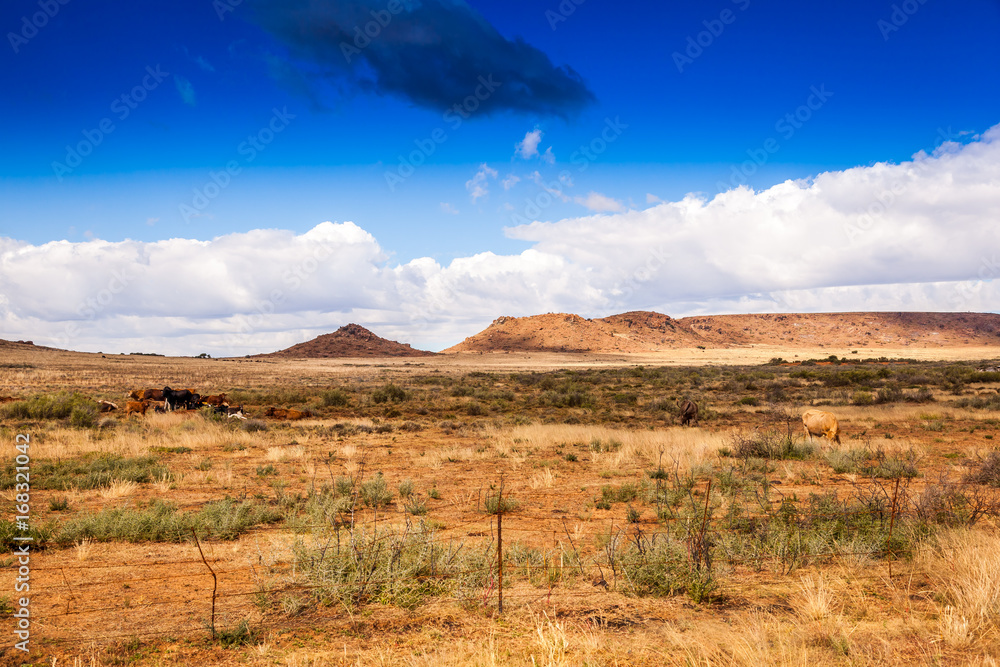 The farmlands of the high Karoo escarpment.