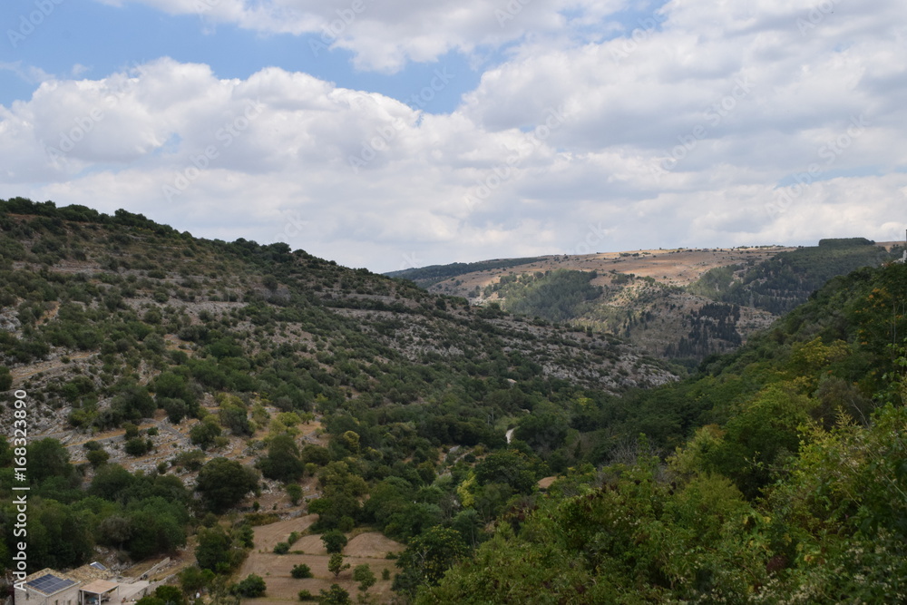 landscape landscape
