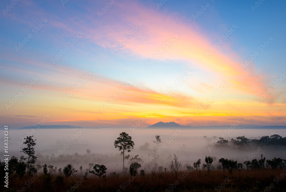 Dramatic fog, sunrise with beautiful vivid and romantic blue sky at Thung Sa Lang Luang, between Phitsanulok and Petchabun, Thailand.
