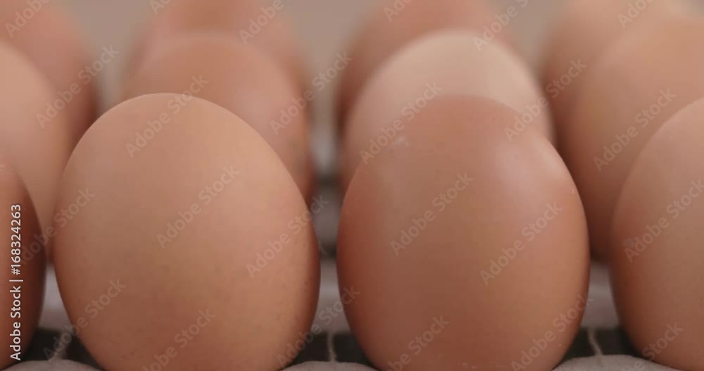 Egg packed Egg packed