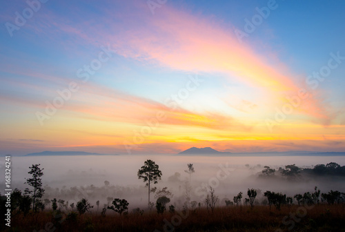 Dramatic fog, sunrise with beautiful vivid and romantic blue sky at Thung Sa Lang Luang, between Phitsanulok and Petchabun, Thailand. © theeraphong