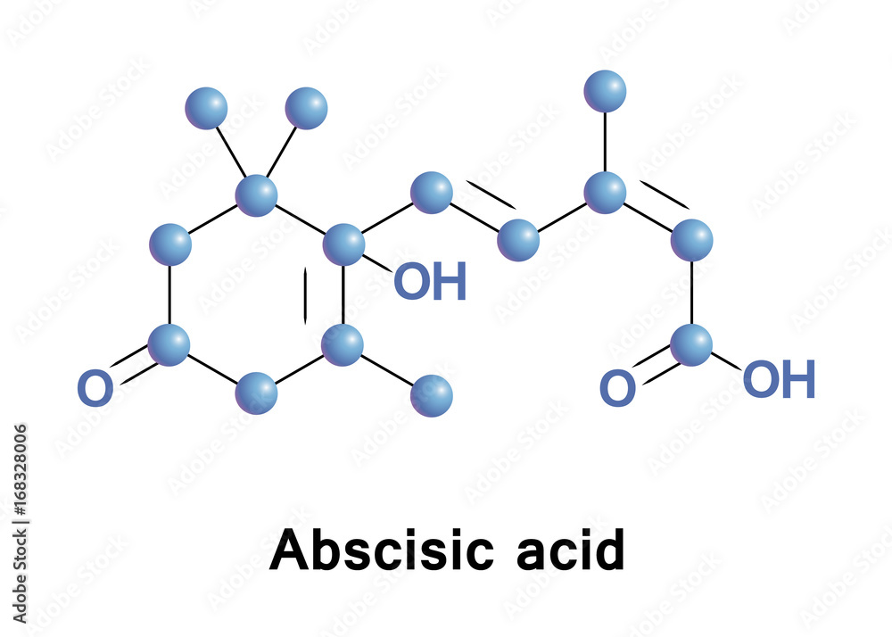 Abscisic acid is a plant hormone. functions in many plant developmental processes, including bud dormancy, and can be involved in stress responses as well Stock Vector | Adobe Stock