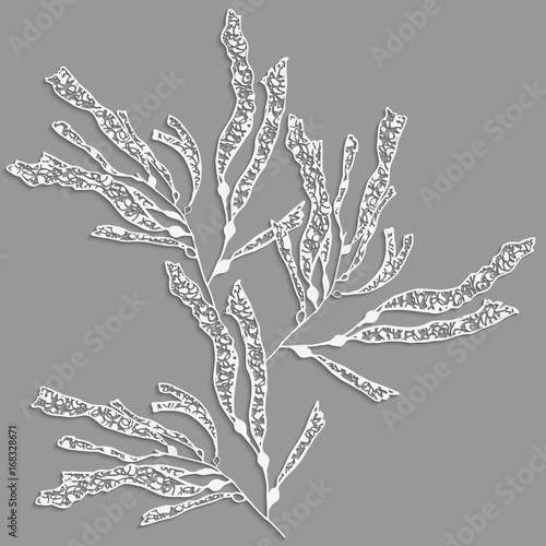 Kelp sea weed 3d with realistic shadow